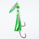 Kingfisher Squid
