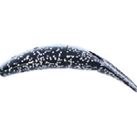Yakima Bait Spin Fish 2