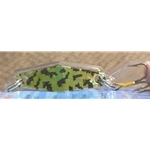 Curly's Lure, Curlys Lure,Curlys