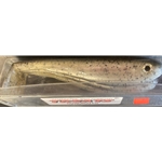 Kamakazee Swimbaits