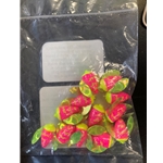 Glitter Pink Chartreuse Tiger Chart Mylar Wings #12