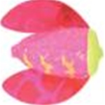 Glitter Pink Chartreuse Tiger Pink Mylar Wings #10